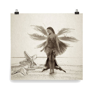 Secrets of Summer Fairy Art Collection