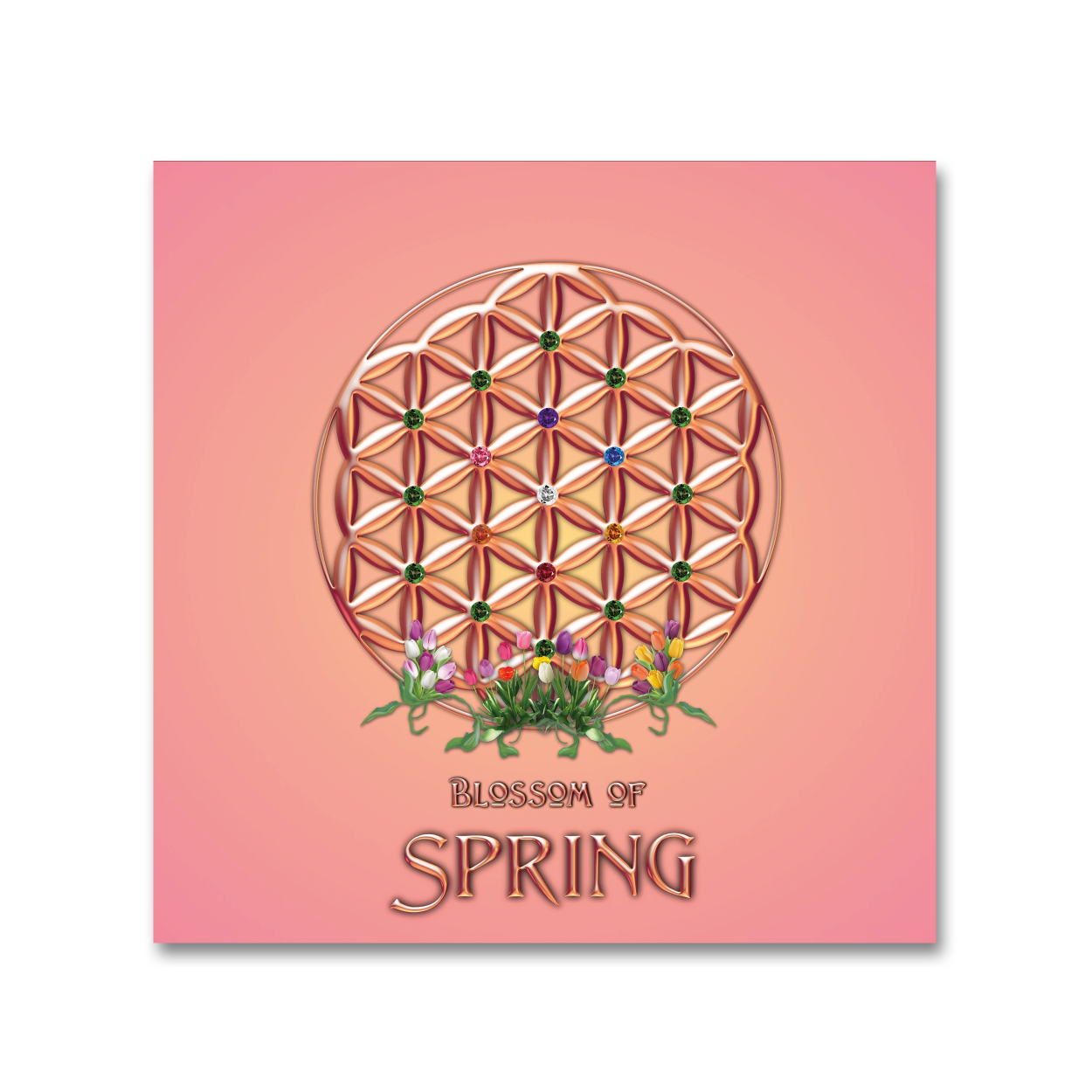 Blossom of Spring MP3 Download
