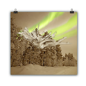 Tales of Winter Fairy Art Collection