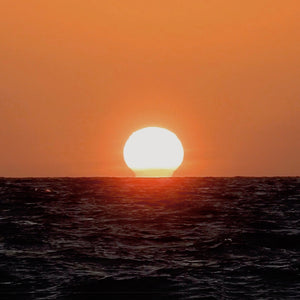Poseidon's Dream MP3 Download WITH Royalty Free Licence. *includes licence to record 2 x your own commercial products.