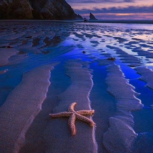 Tidal Pools MP3 Download WITH Royalty Free Licence.* includes licence to record 2 x your own commercial products.